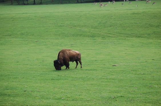 DSC_0054 [50%] [50%].JPG